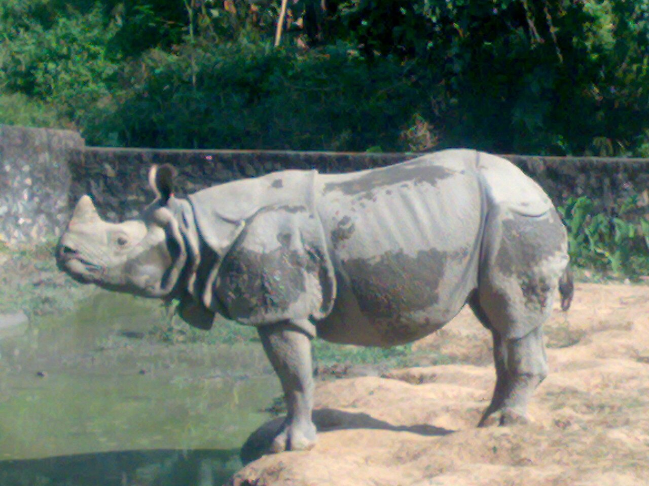 Assam State Zoo cum Botanical Garden