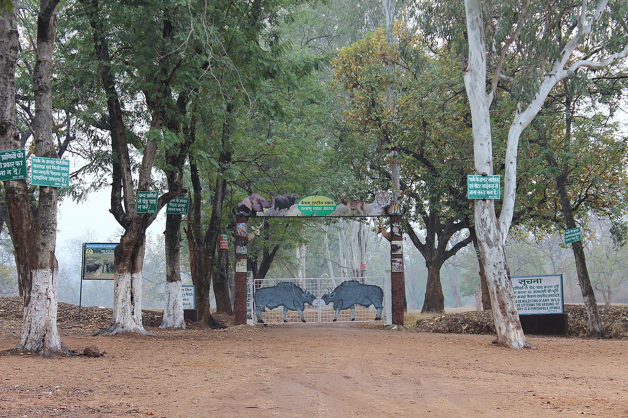Betla National Park