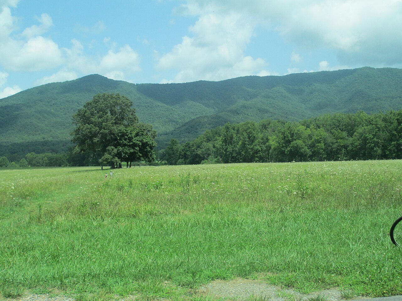 Cades Cove
