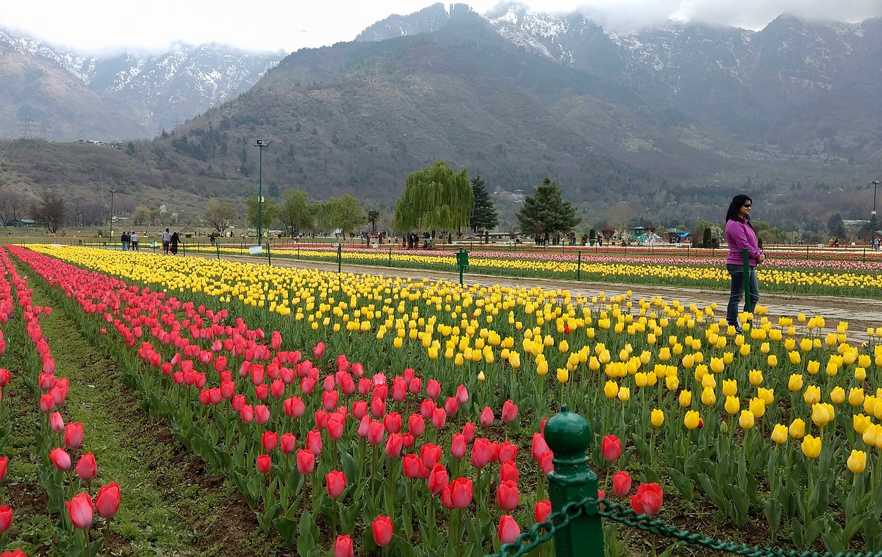 Indira Gandhi Tulip Garden