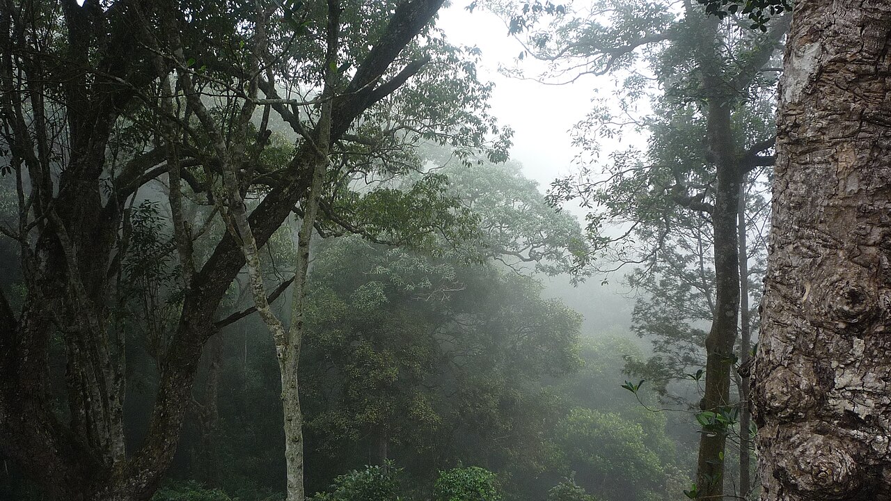 Kolli Hills