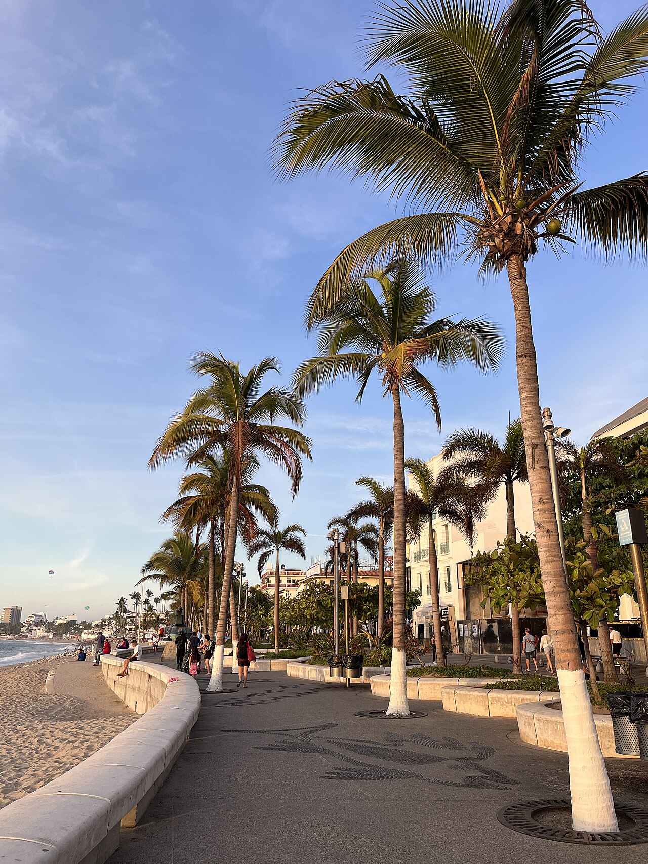 Puerto Vallarta Malecon