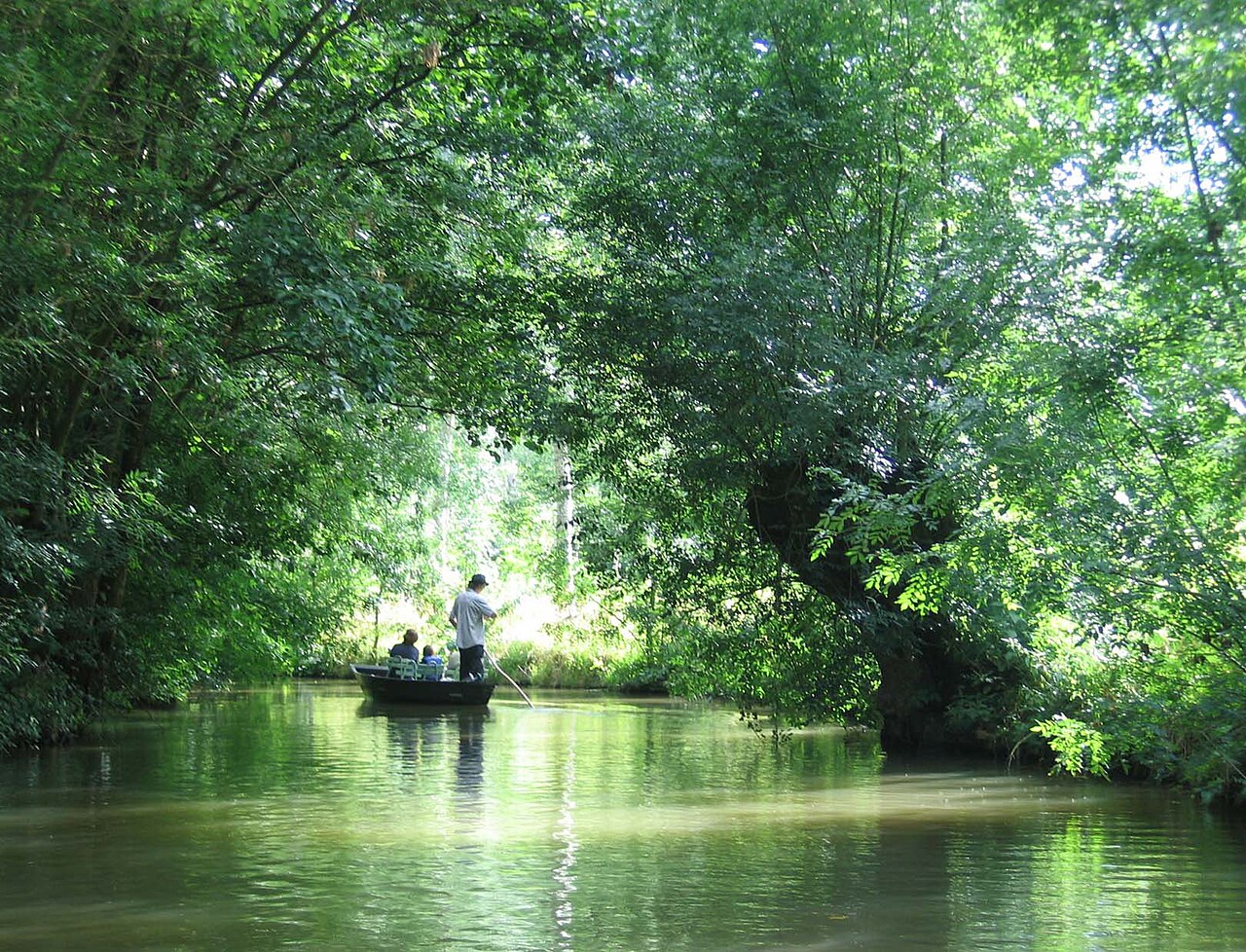 Regional Natural Park of the Marais Poitevin