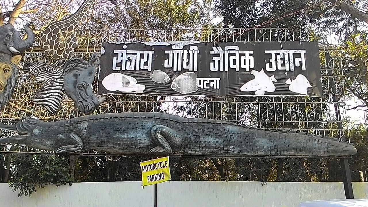 Sanjay Gandhi Biological Park, Patna