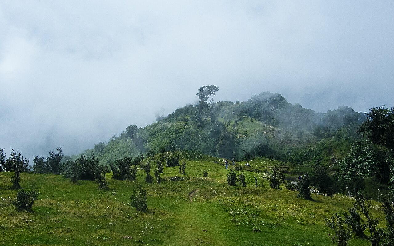 The Singalila National Park - West Bengal, India