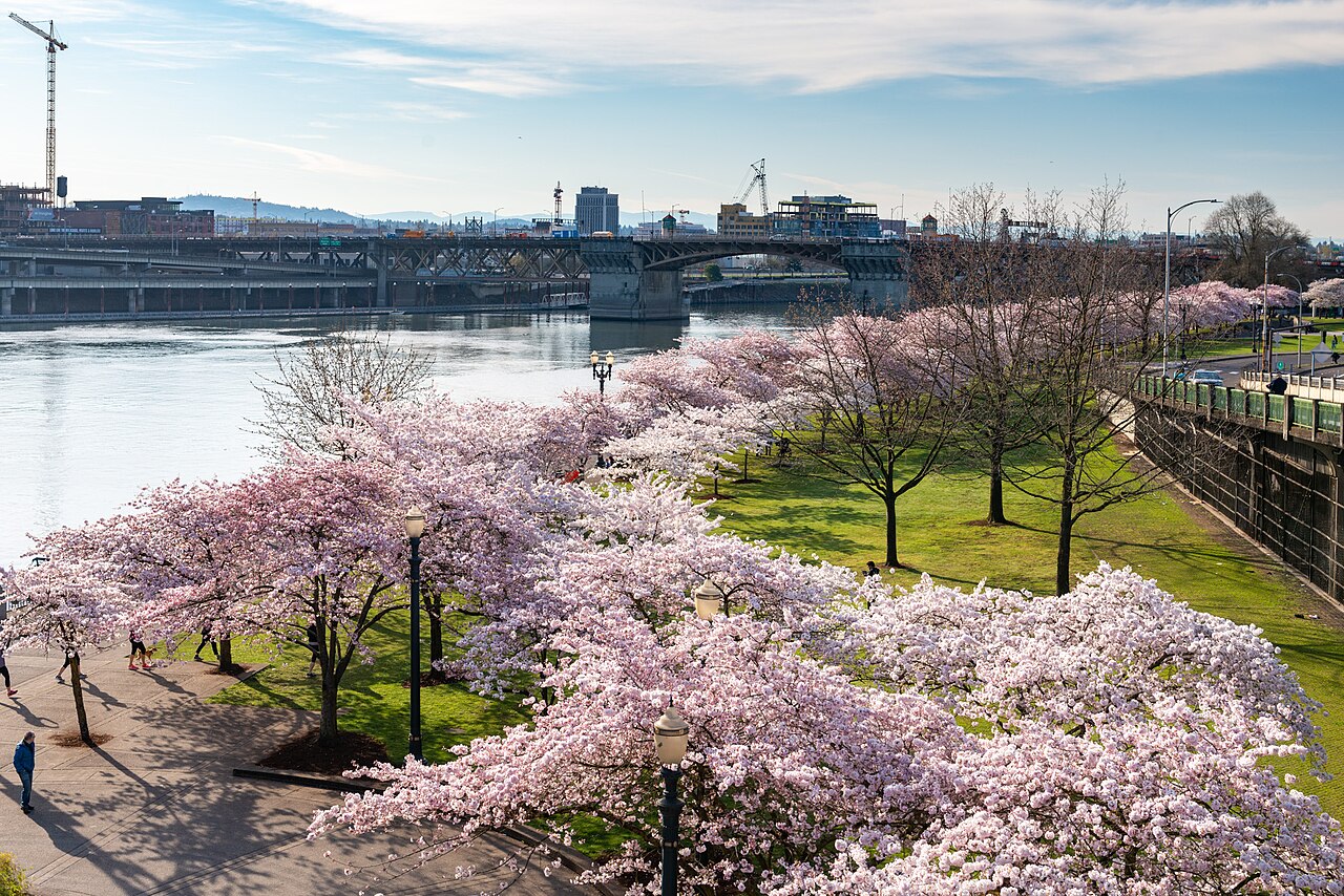 Tom McCall Waterfront Park
