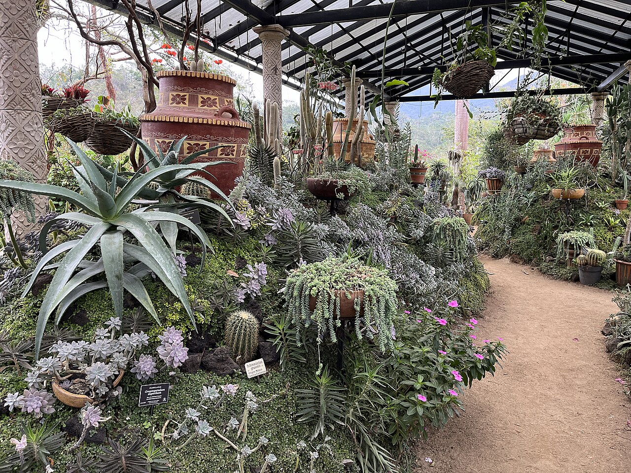 Vallarta Botanical Gardens AC