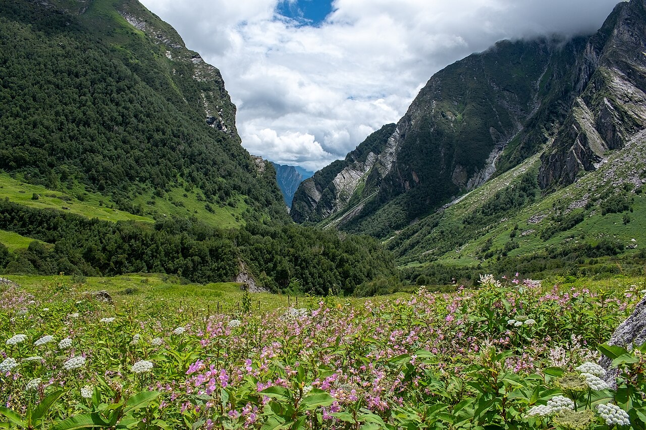 Valley of Flowers National Park